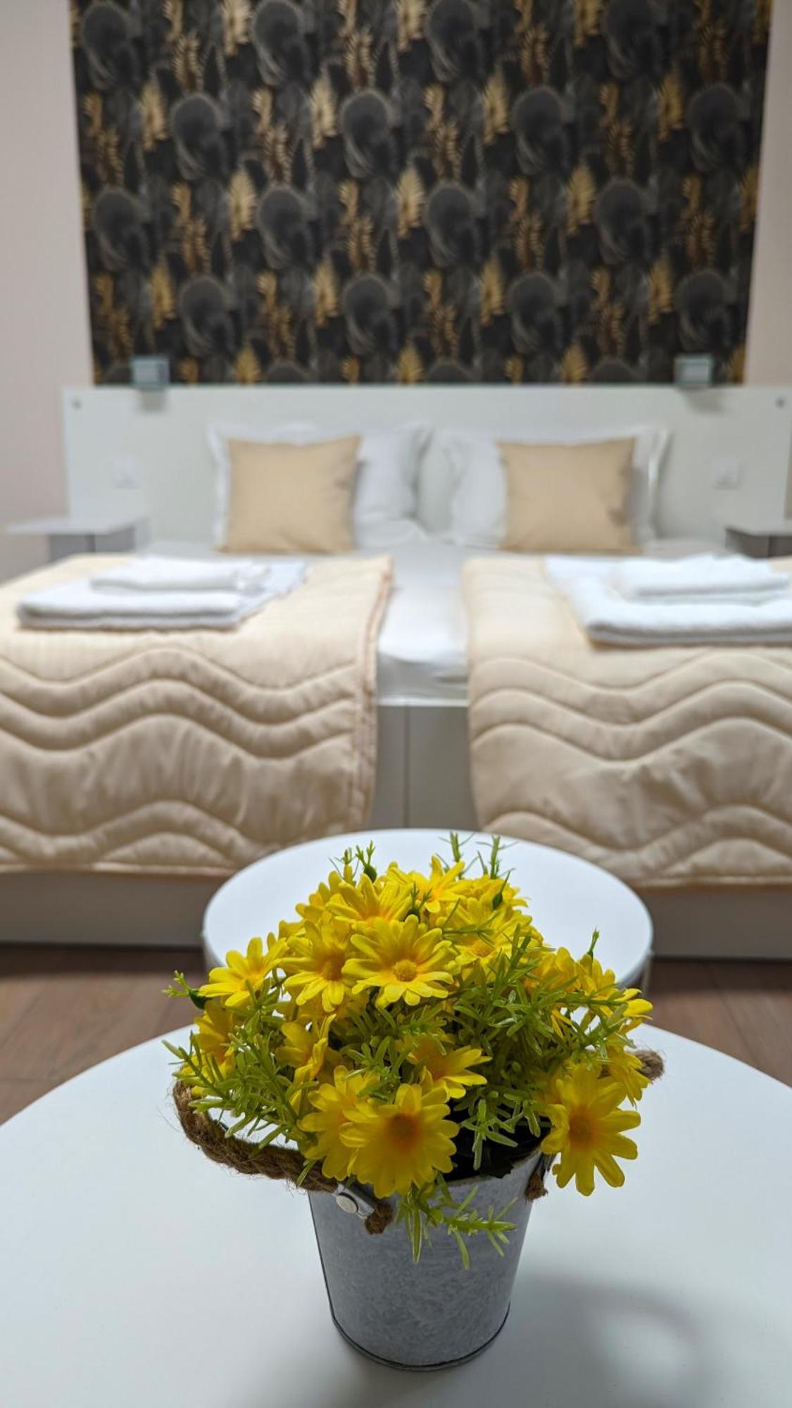 Apartmani Tomic Kladovo Luaran gambar